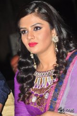 Dhanalakshmi Thalupu Thadithe Movie Audio Launch